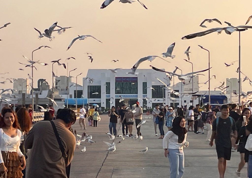 Photo of Bang Pu pier with people and lots of gulls circling overhead