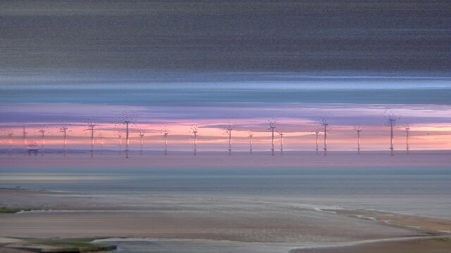 Understory (Redcar)